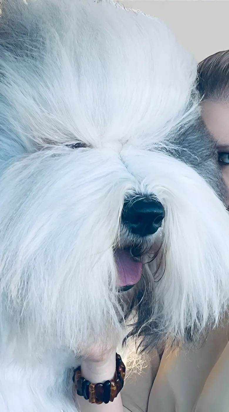 A woman cheek to cheek with a long-haired Old English Sheepdog